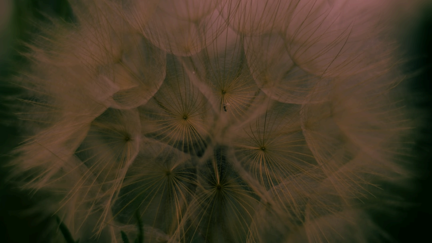 Switch Tabs in Canvas Exams Without Leaving a Trace